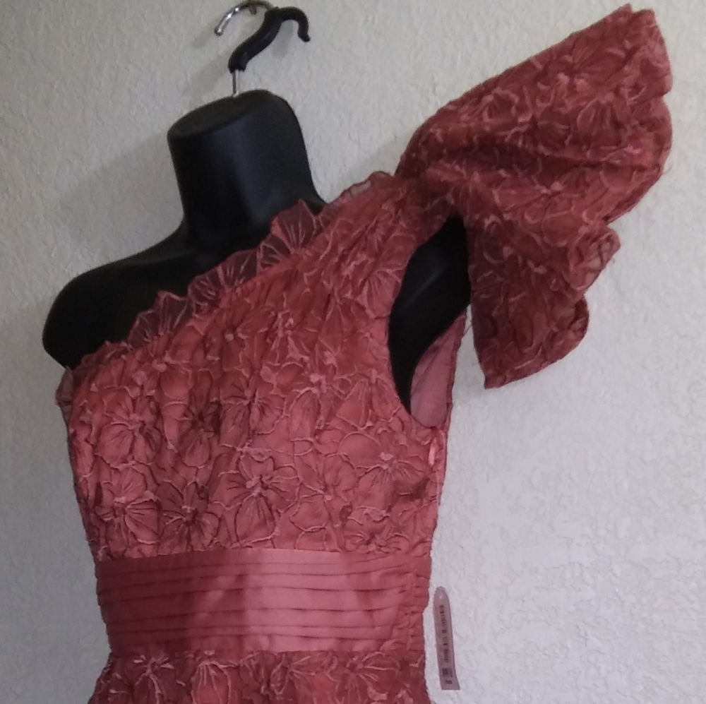 Jessica Simpson, dark blush pink dress, 2